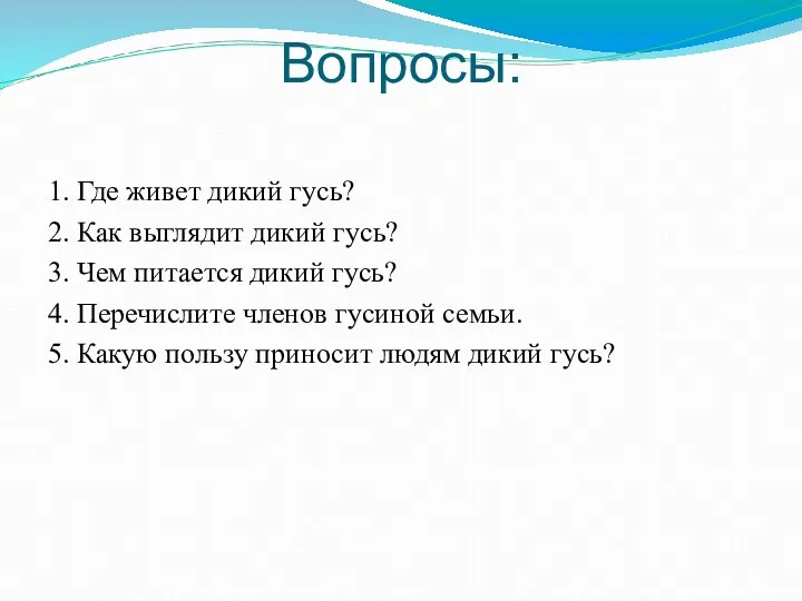 Вопросы: 1. Где живет дикий гусь? 2. Как выглядит дикий