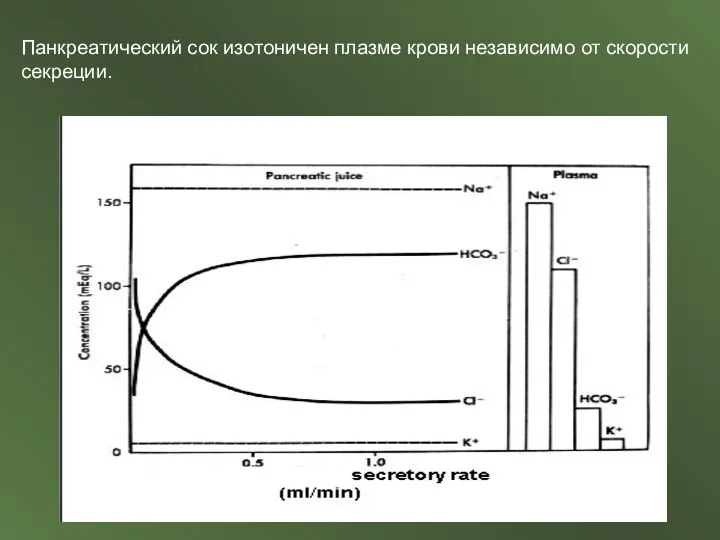 Панкреатический сок изотоничен плазме крови независимо от скорости секреции.