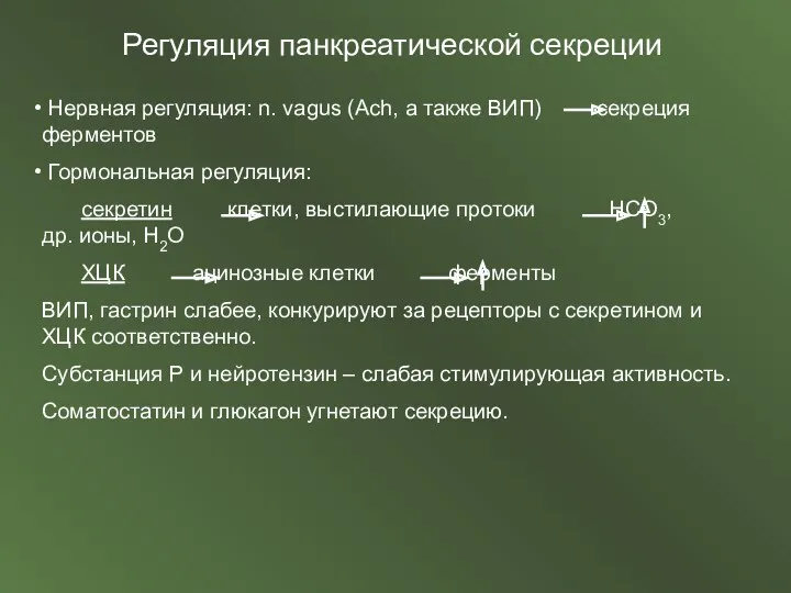 Регуляция панкреатической секреции Нервная регуляция: n. vagus (Ach, а также