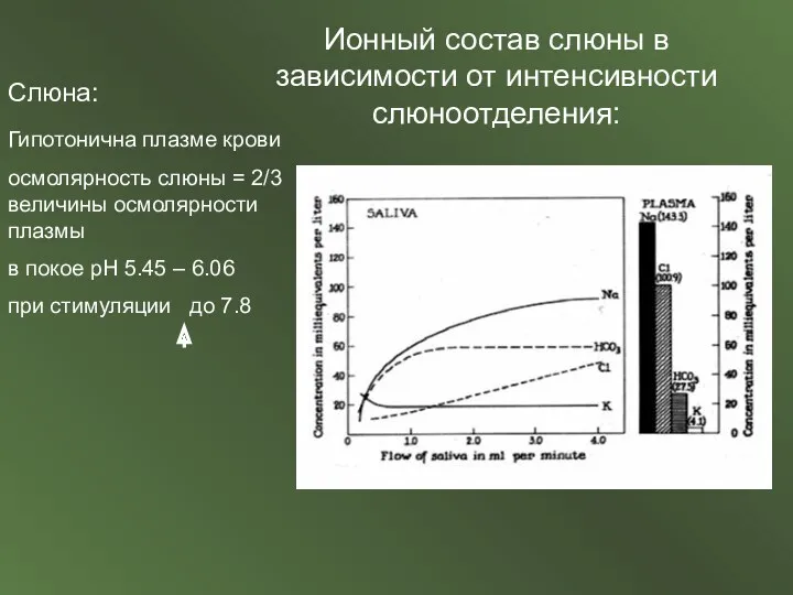 Ионный состав слюны в зависимости от интенсивности слюноотделения: Слюна: Гипотонична