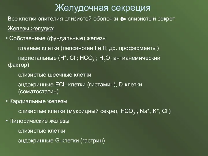 Желудочная секреция Все клетки эпителия слизистой оболочки слизистый секрет Железы