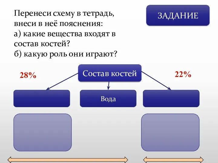 ЗАДАНИЕ Перенеси схему в тетрадь, внеси в неё пояснения: а)