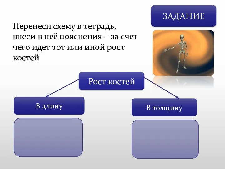 ЗАДАНИЕ Перенеси схему в тетрадь, внеси в неё пояснения –