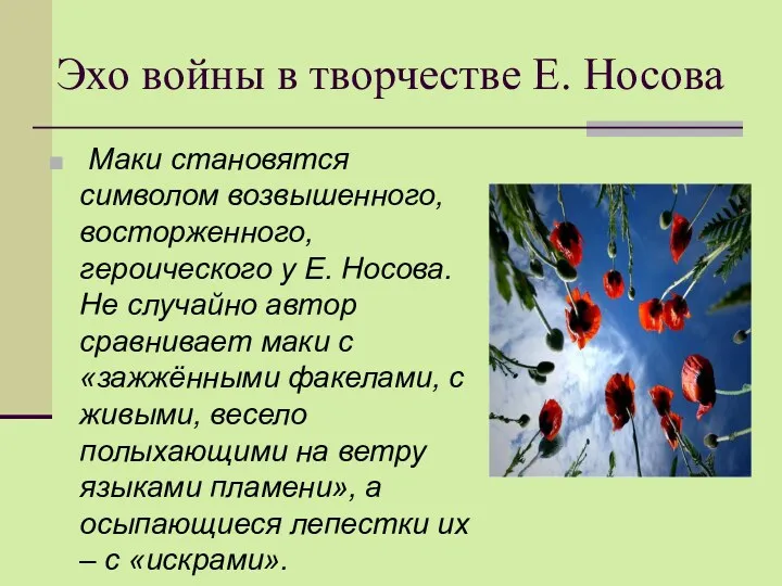 Эхо войны в творчестве Е. Носова Маки становятся символом возвышенного,