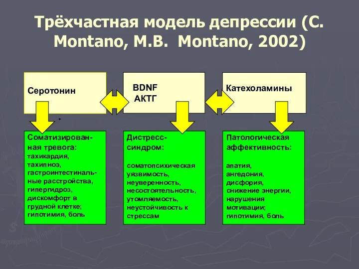 Трёхчастная модель депрессии (C. Montano, M.B. Montano, 2002)
