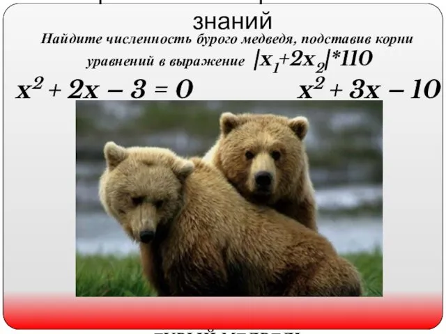 Практическое применение знаний Найдите численность бурого медведя, подставив корни уравнений в выражение |x1+2x2|*110