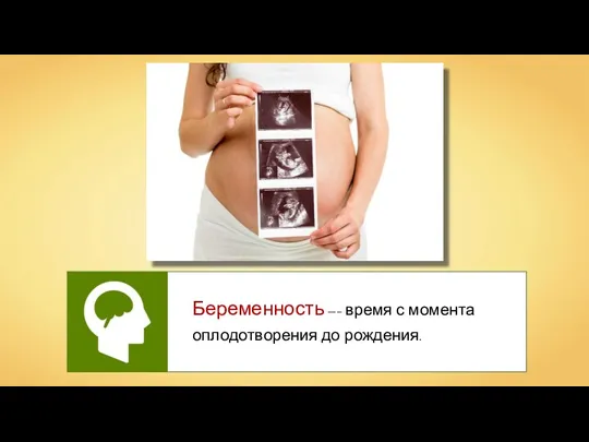 Беременность —– время с момента оплодотворения до рождения.