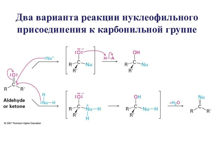 Два варианта реакции нуклеофильного присоединения к карбонильной группе