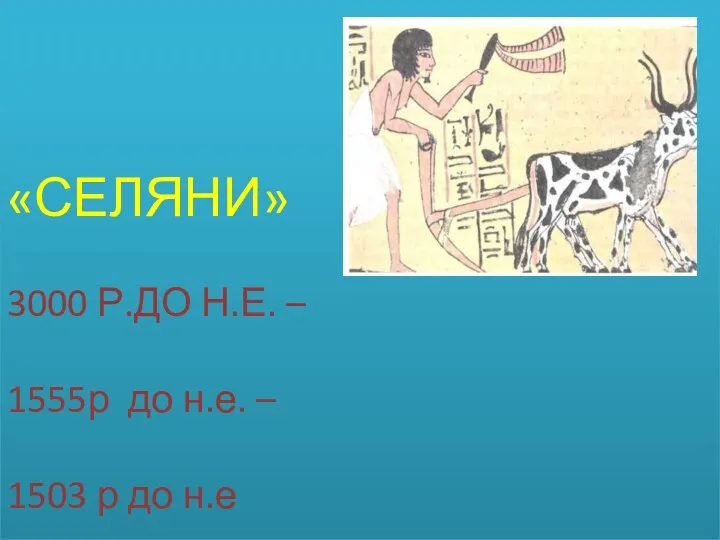 «СЕЛЯНИ» 3000 Р.ДО Н.Е. – 1555р до н.е. – 1503 р до н.е