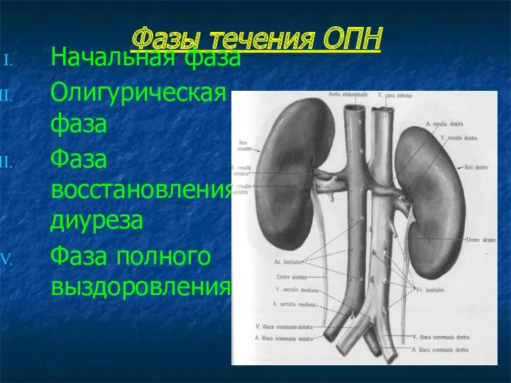 Фазы течения ОПН Начальная фаза Олигурическая фаза Фаза восстановления диуреза Фаза полного выздоровления