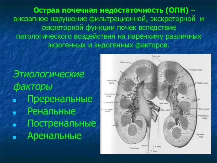 Острая почечная недостаточность (ОПН) – внезапное нарушение фильтрационной, экскреторной и