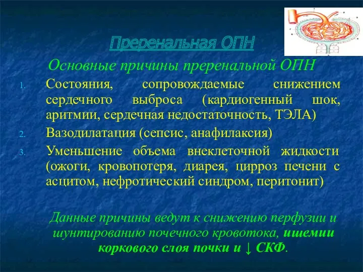 Преренальная ОПН Основные причины преренальной ОПН Состояния, сопровождаемые снижением сердечного