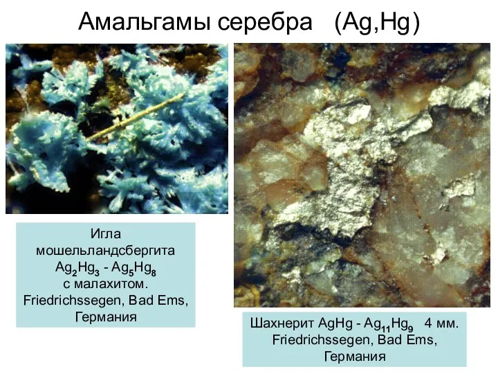 Амальгамы серебра (Ag,Hg) Игла мошельландсбергита Ag2Hg3 - Ag5Hg8 с малахитом. Friedrichssegen, Bad Ems,
