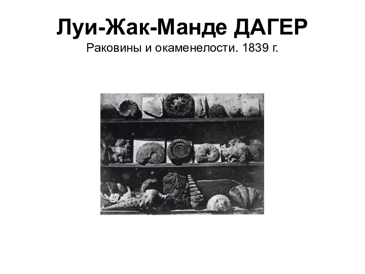 Луи-Жак-Манде ДАГЕР Раковины и окаменелости. 1839 г.