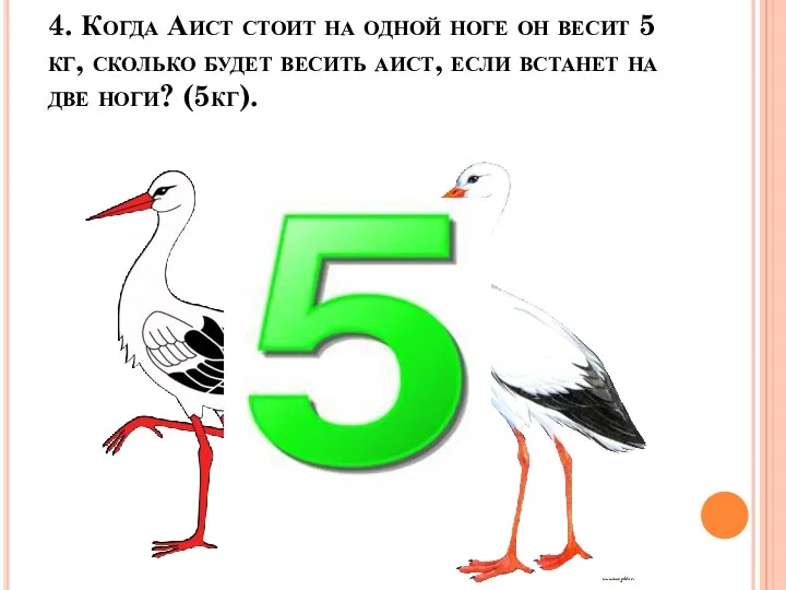 4. Когда Аист стоит на одной ноге он весит 5