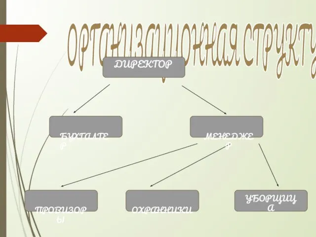 ОРГАНИЗАЦИОННАЯ СТРУКТУРА БУХГАЛТЕР МЕНЕДЖЕР ПРОВИЗОРЫ ОХРАННИКИ УБОРЩИЦА