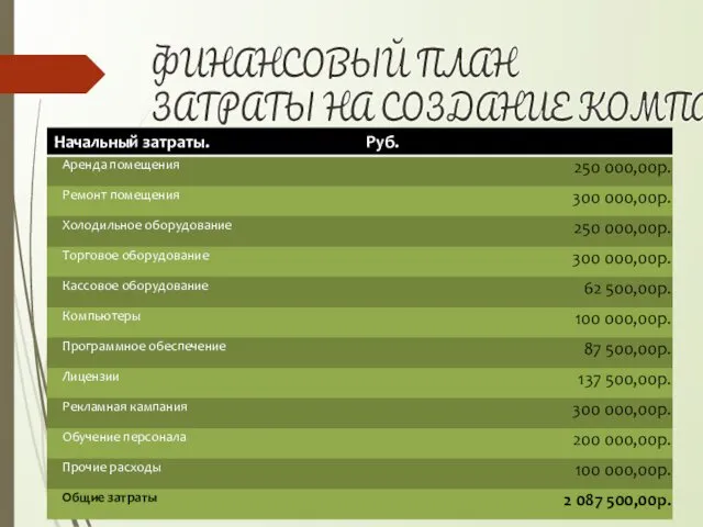 ФИНАНСОВЫЙ ПЛАН ЗАТРАТЫ НА СОЗДАНИЕ КОМПАНИИ