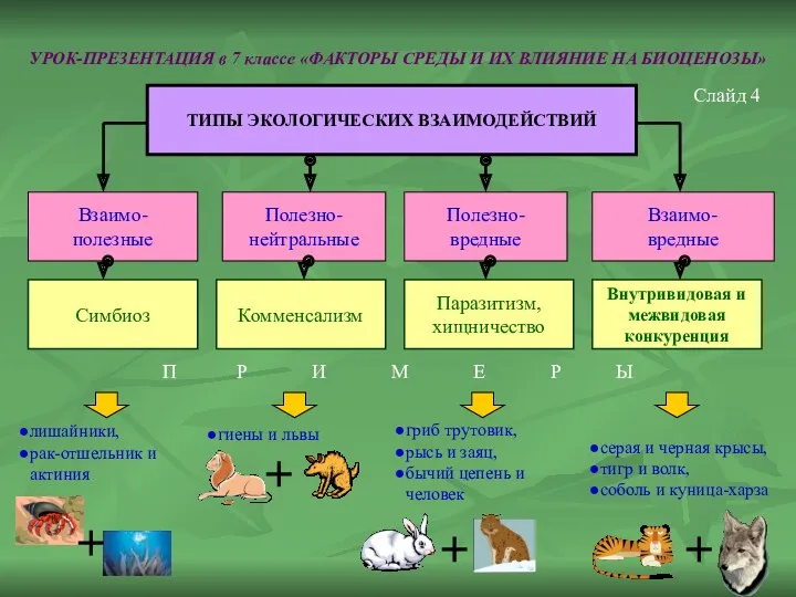 УРОК-ПРЕЗЕНТАЦИЯ в 7 классе «ФАКТОРЫ СРЕДЫ И ИХ ВЛИЯНИЕ НА