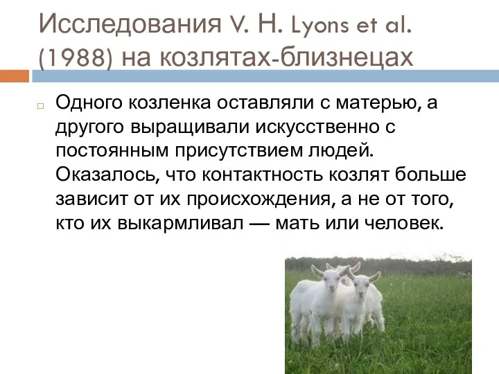 Исследования V. Н. Lyons et al. (1988) на козлятах-близнецах Одного