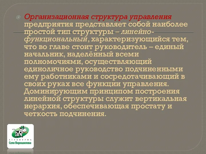 Организационная структура управления предприятия представляет собой наиболее простой тип структуры