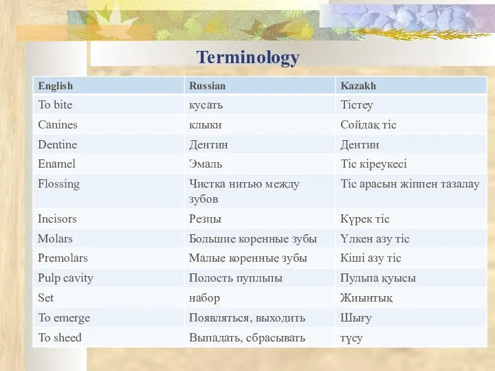 Terminology