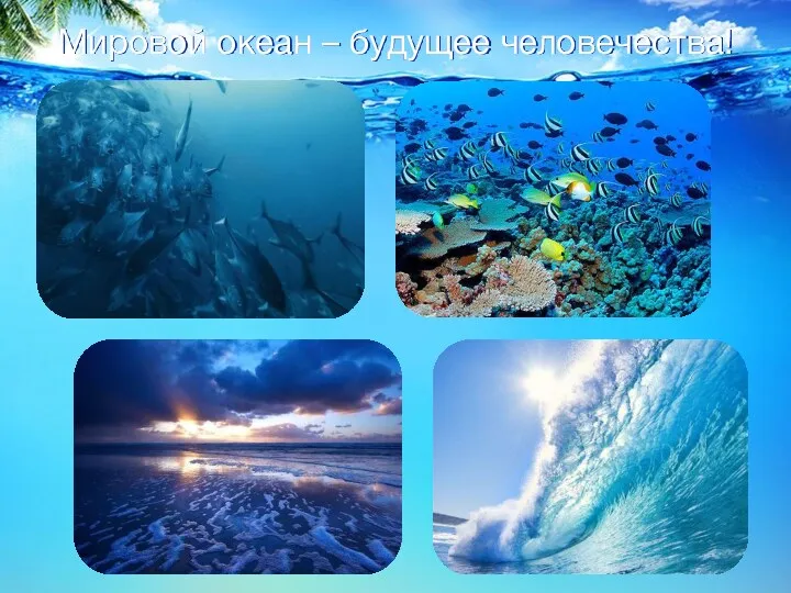 Мировой океан – будущее человечества!