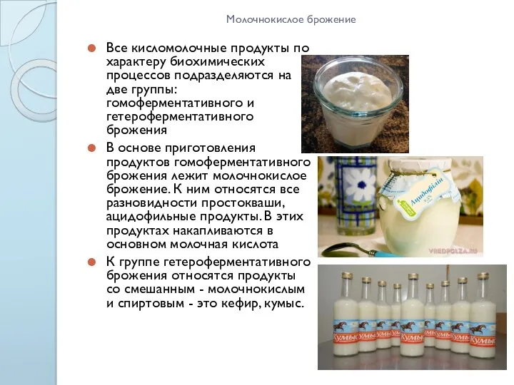 Молочнокислое брожение Все кисломолочные продукты по характеру биохимических процессов подразделяются на две группы: