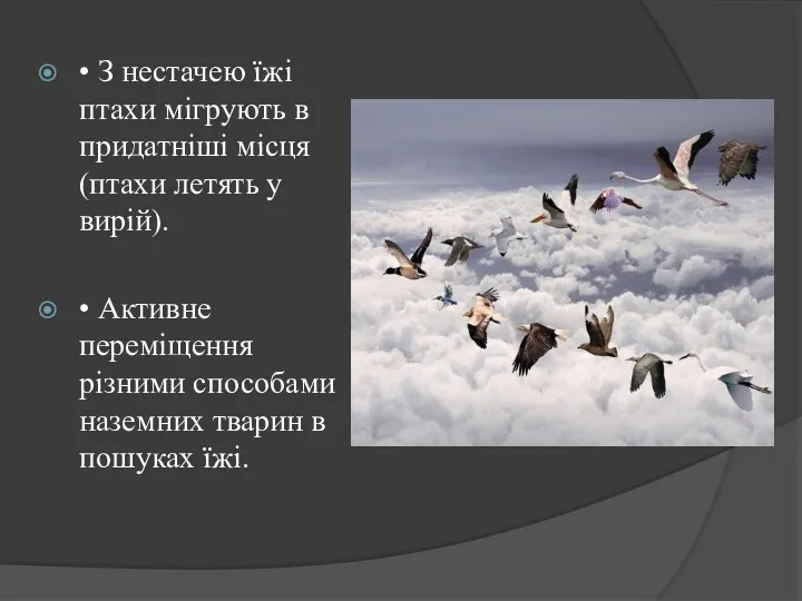 • З нестачею їжі птахи мігрують в придатніші місця (птахи