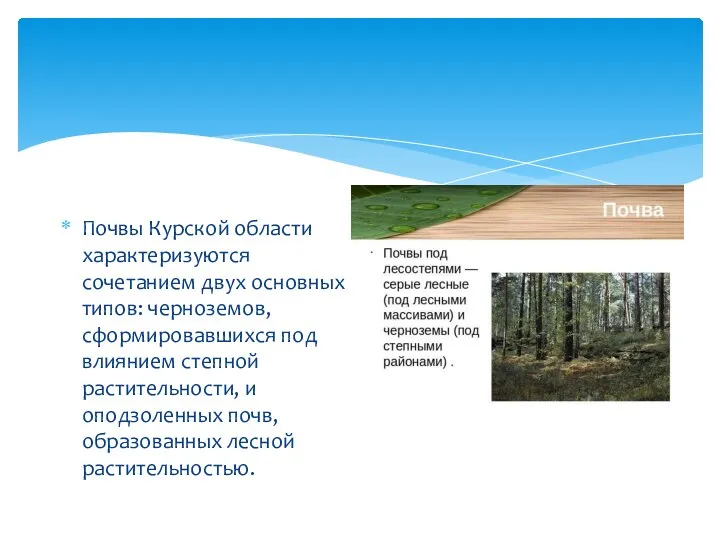 Почвы Курской области характеризуются сочетанием двух основных типов: черноземов, сформировавшихся