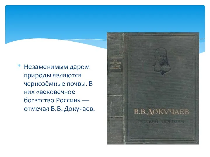 Незаменимым даром природы являются чернозёмные почвы. В них «вековечное богатство России» — отмечал В.В. Докучаев.