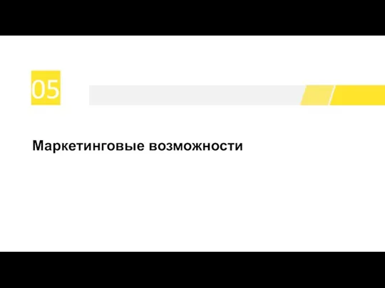 05 Маркетинговые возможности