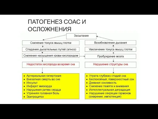 ПАТОГЕНЕЗ СОАС И ОСЛОЖНЕНИЯ