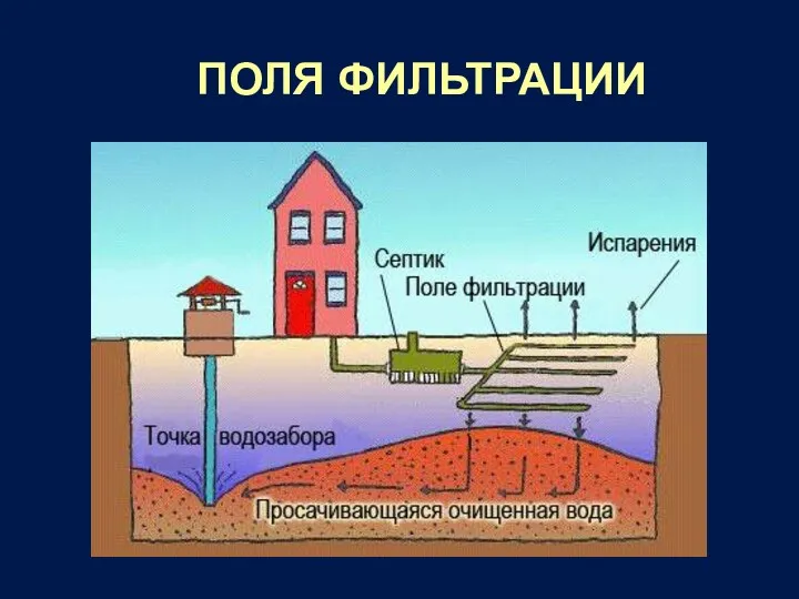 ПОЛЯ ФИЛЬТРАЦИИ