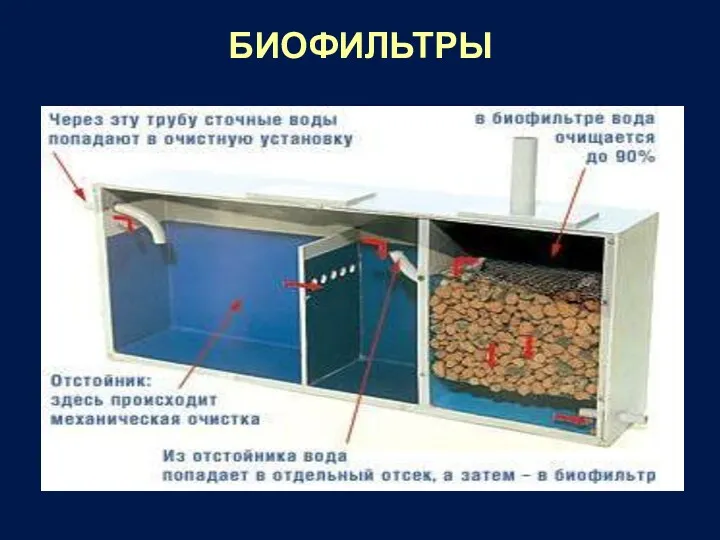 БИОФИЛЬТРЫ