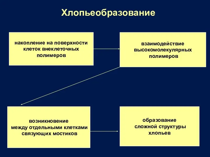 Хлопьеобразование накопление на поверхности клеток внеклеточных полимеров взаимодействие высокомолекулярных полимеров