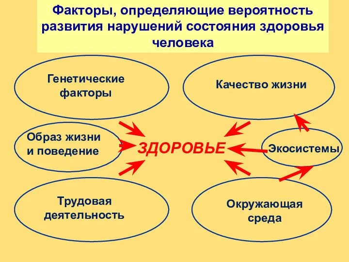 ЗДОРОВЬЕ Генетические факторы Качество жизни Окружающая среда Трудовая деятельность Экосистемы