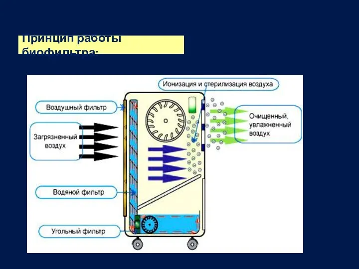 Принцип работы биофильтра: