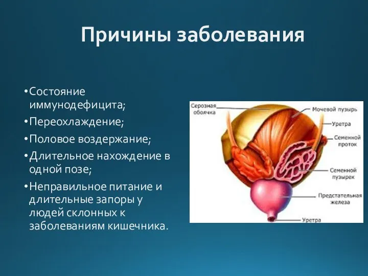 Причины заболевания Состояние иммунодефицита; Переохлаждение; Половое воздержание; Длительное нахождение в