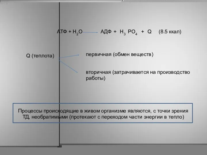 АТФ + Н2O АДФ + Н3 PO4 + Q (8.5 ккал) Q (теплота)