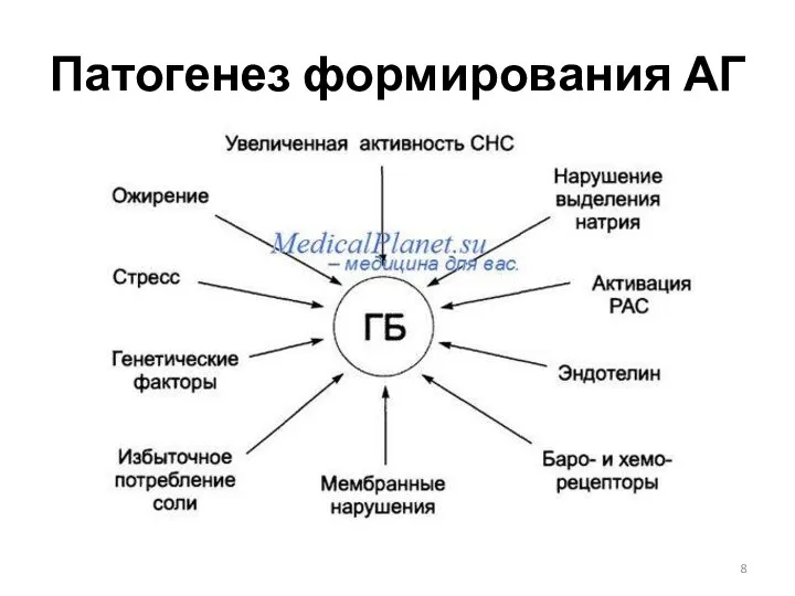 Патогенез формирования АГ