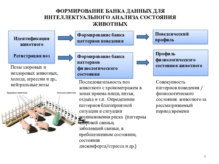 ФОРМИРОВАНИЕ БАНКА ДАННЫХ ДЛЯ ИНТЕЛЛЕКТУАЛЬНОГО АНАЛИЗА СОСТОЯНИЯ ЖИВОТНЫХ Идентификация животного