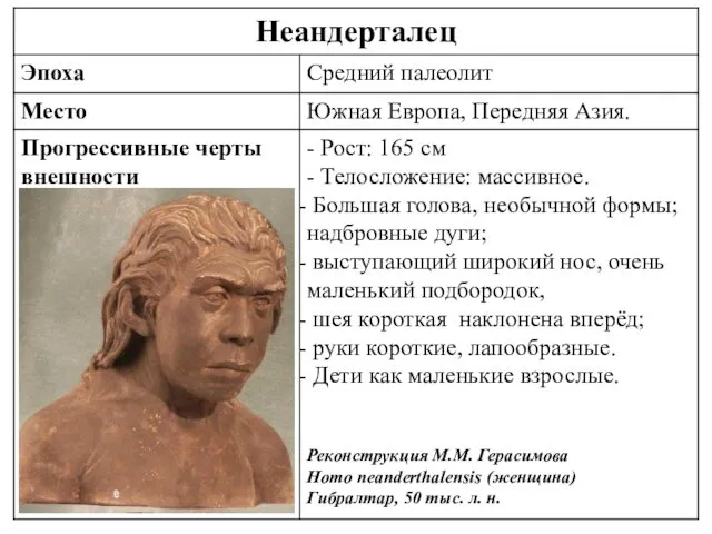 - Реконструкция М.М. Герасимова Homo neanderthalensis (женщина) Гибралтар, 50 тыс. л. н.