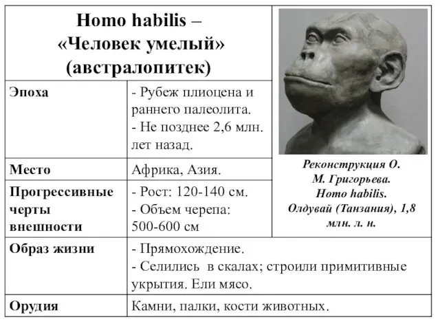 Реконструкция О.М. Григорьева. Homo habilis. Олдувай (Танзания), 1,8 млн. л. н.