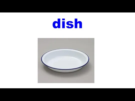 dish