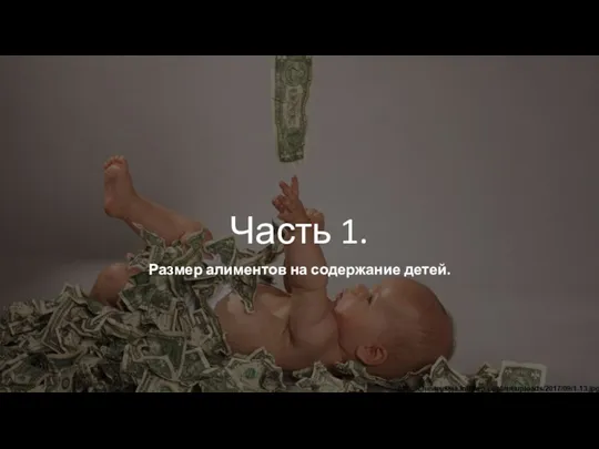 Часть 1. Размер алиментов на содержание детей.