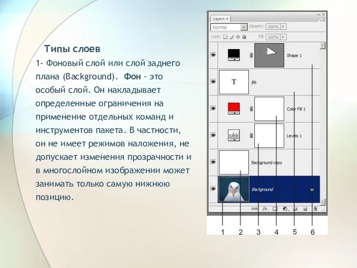 Типы слоев 1- Фоновый слой или слой заднего плана (Background).