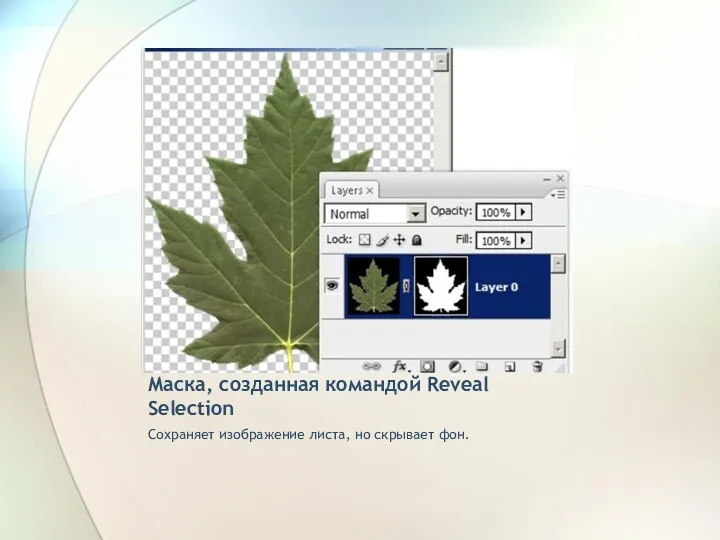 Маска, созданная командой Reveal Selection Сохраняет изображение листа, но скрывает фон.