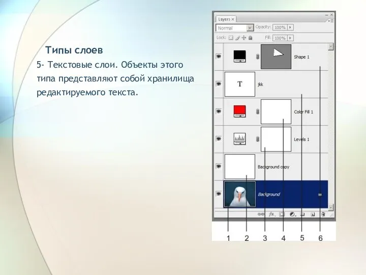 Типы слоев 5- Текстовые слои. Объекты этого типа представляют собой хранилища редактируемого текста.