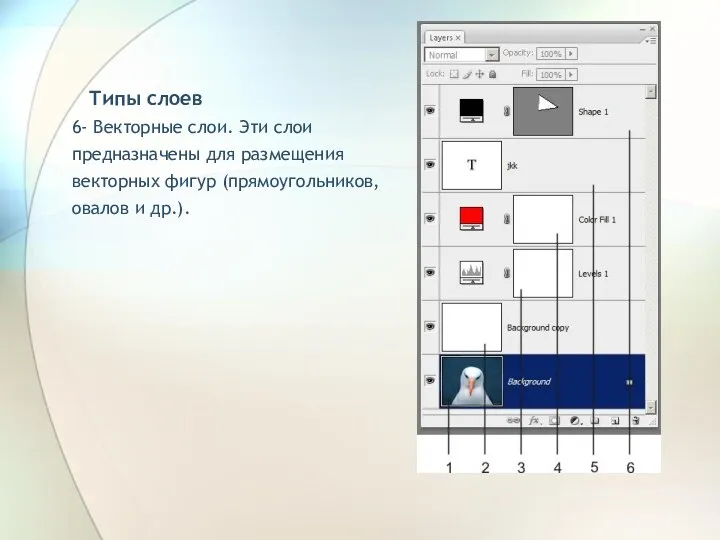 Типы слоев 6- Векторные слои. Эти слои предназначены для размещения векторных фигур (прямоугольников, овалов и др.).