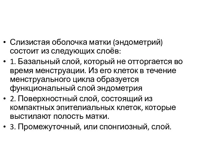 Слизистая оболочка матки (эндометрий) состоит из следующих слоёв: 1. Базальный